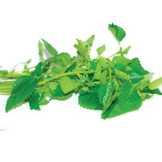 HẠT RAU KINH GIỚI - GÓI 1 GRAM