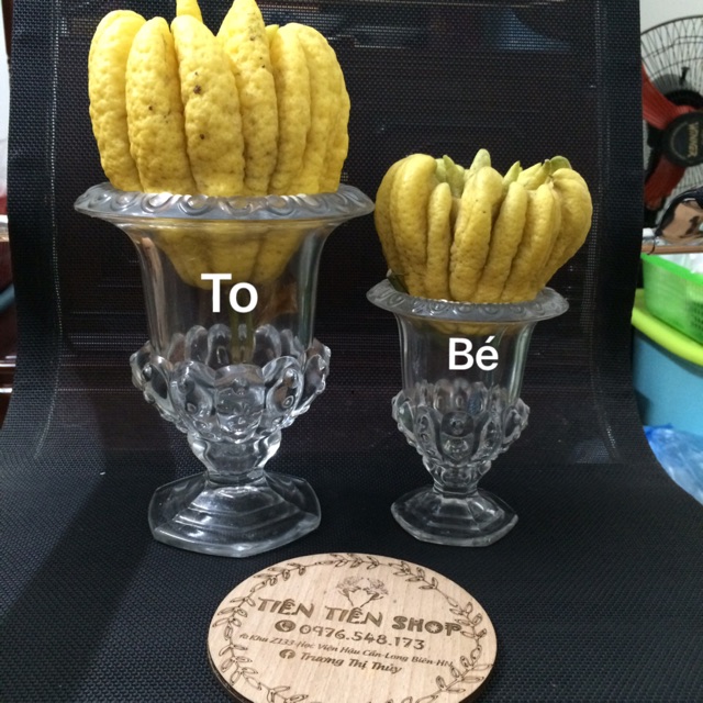 Ly thuỷ tinh bày phật thủ loại nhỏ