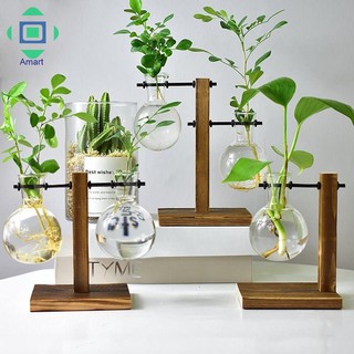 Lọ thủy tinh trồng cây thủy canh kèm đế gỗ xinh xắn trang trí đẹp mắt