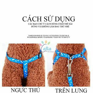 Dây dắt kèm yếm cho chó mèo < 7 ký