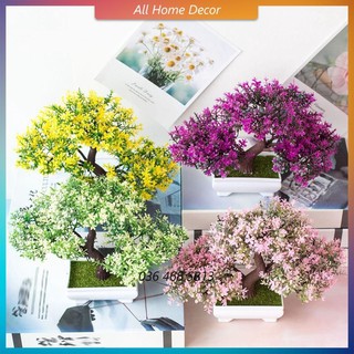 Cây giả trang trí, cây cảnh giả Bonsai nhựa