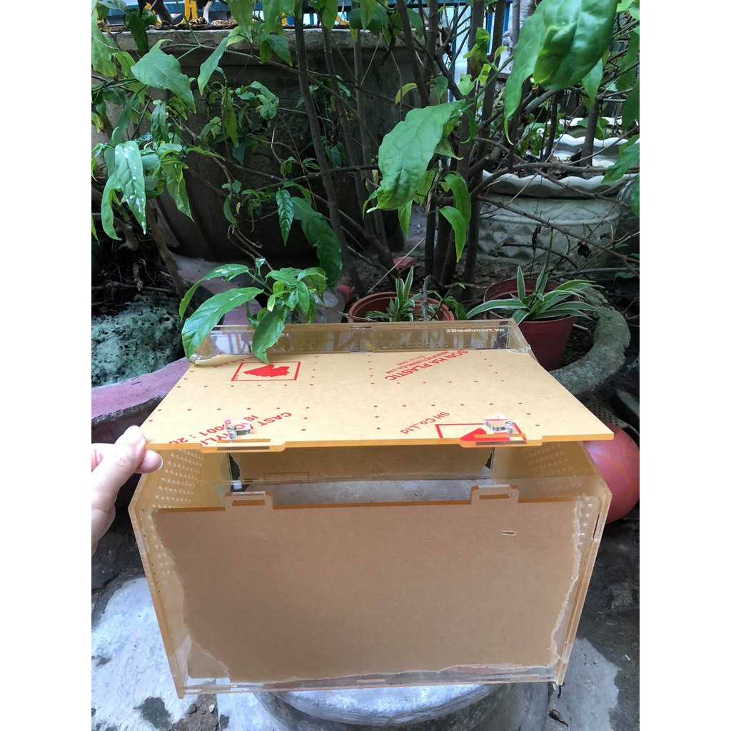 Hộp Nuôi Nhện/ Rết/ Rùa/ Ếch/ LG/bò sát...mica cao cấp KT 30x20x20