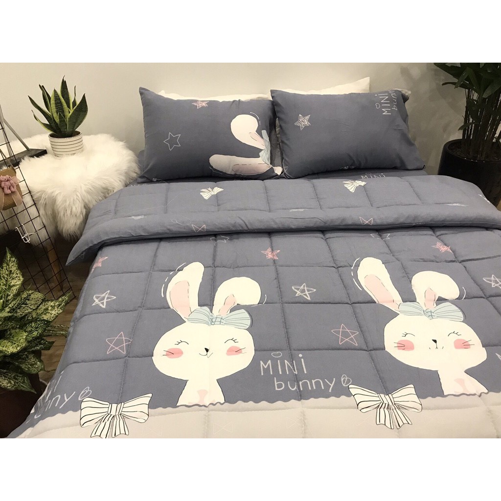 Bộ_chăn_ga_gối_cotton_Demi_100%_cotton