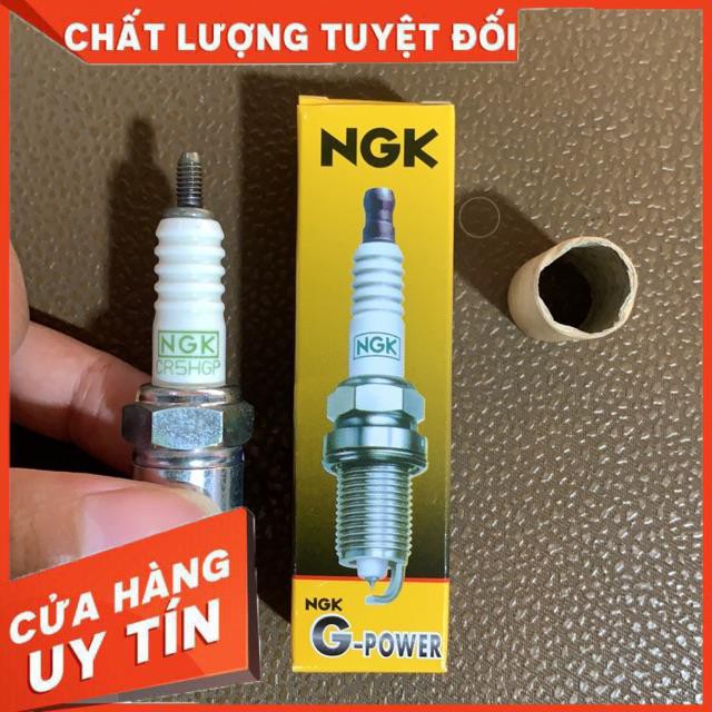 Bugi bạch kim NGK chân ngắn