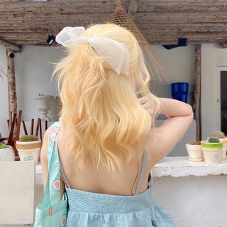 kẹp nơ điệu đà