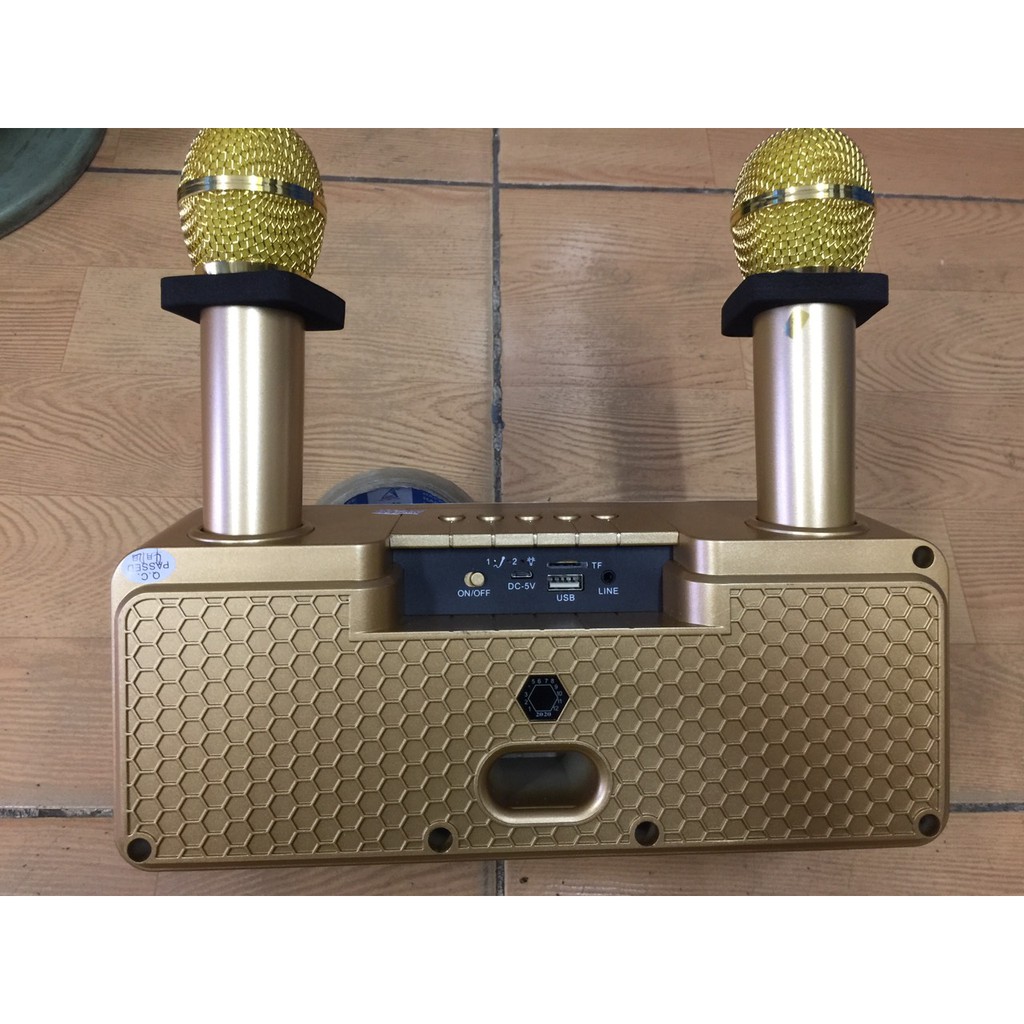 LOA BLUETOOTH SDRD 301.