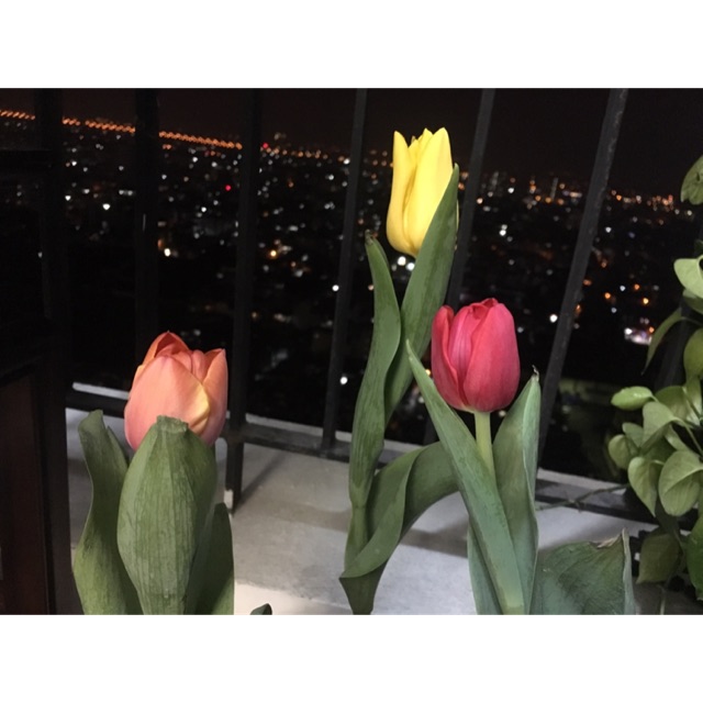 VMinhChau_Store