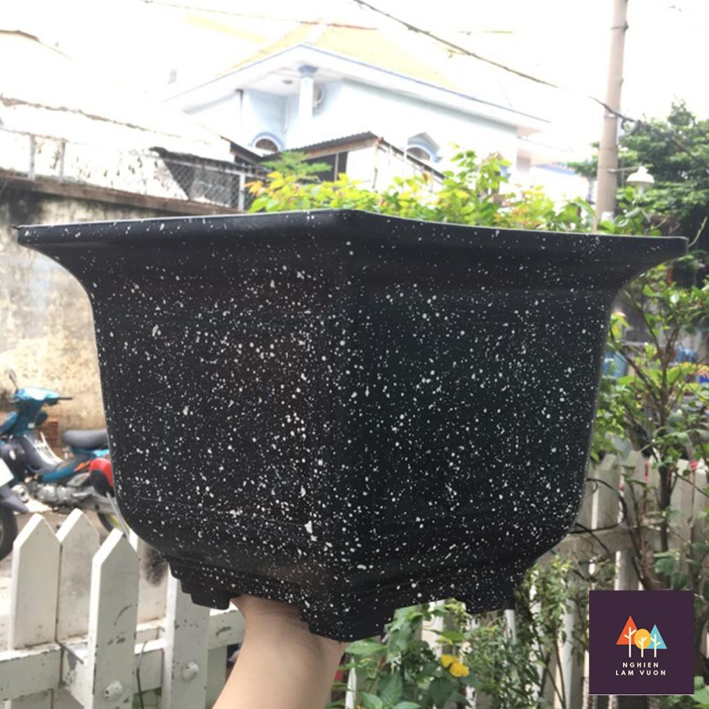 5 Chậu trồng cây hình lục giác mã CN08LG58 size 57x45 giá đá đen