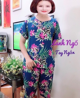 Bộ Lanh Ngố Siêu Mát