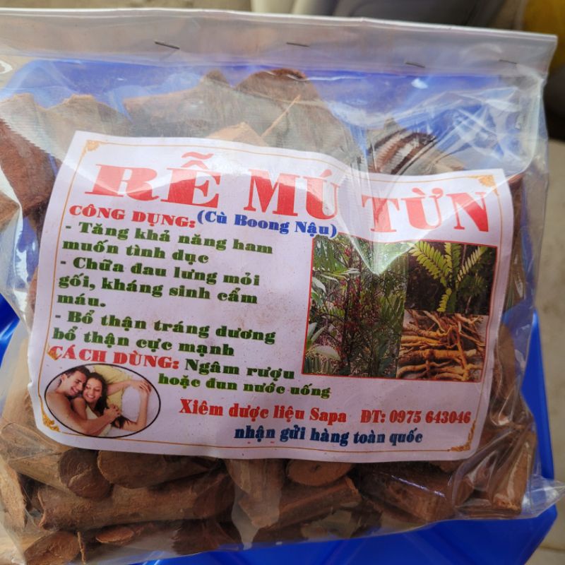 RỄ CÂY MÚ TỪN