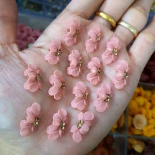 Hoa bột, hoa cúc( gạt ảnh chọn màu)