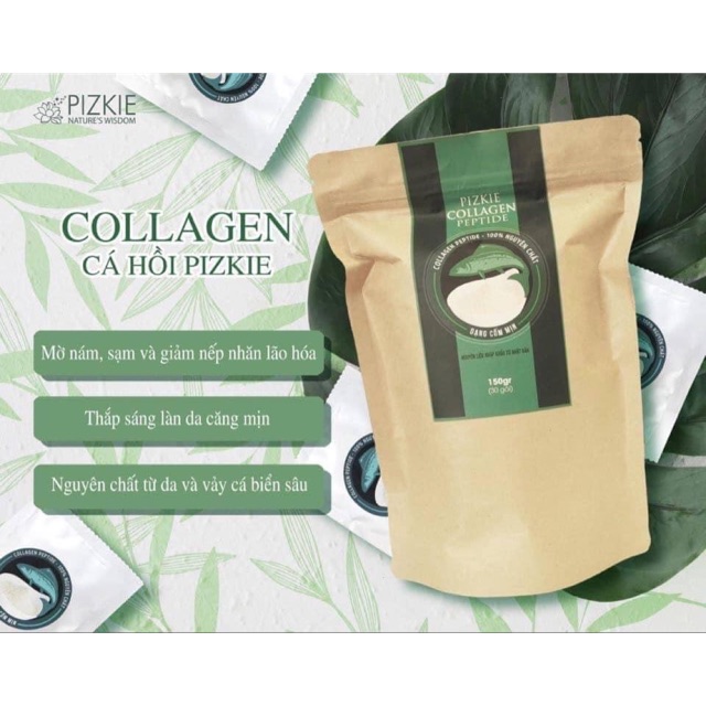 Collagen Cá Hồi Pizkie Nhật Bản- Bí Quyết Trẻ Hoá Làn Da