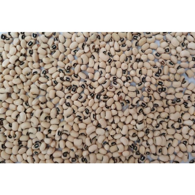 Đậu trắng nguyên hạt TAFOOD 500g