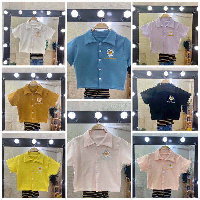 Áo Thun Polo Nữ🌸FREESHIP🌸 Áo Phông Polo  Cực Đẹp  hoa cúc  freesize dưới 58 kg < chất vải cotton > siêu mát | BigBuy360 - bigbuy360.vn