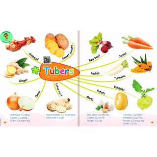 Flashcard Chinh Phục Từ Vựng Tiếng Anh Mind map