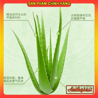Gel Lô hội cấp ẩm Maycreate 98%