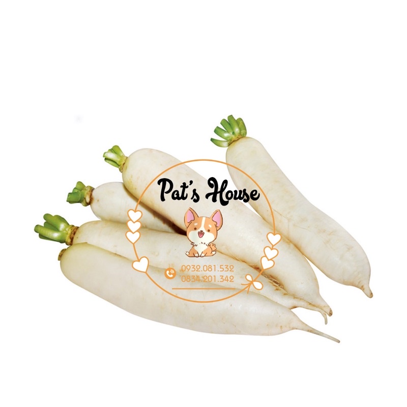 Củ cải trắng