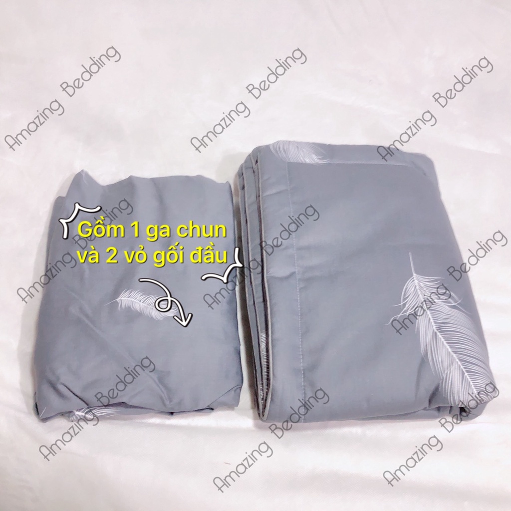 Bộ ga gối Cotton 100% gồm 1 ga chun và 2 vỏ gối đầu.