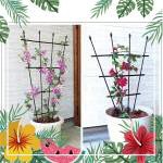 Kenkou VN _ Giàn hoa hình quạt lõi thép bọc nhựa _ hoa hồng, hoa giấy và các loại cây leo