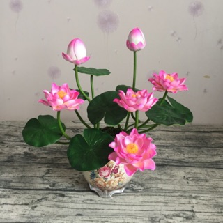 Chùm hoa sen nhí 2 bông 1 nụ siêu bền