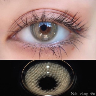 Kính áp tròng PA BROWN Lens | Size không giãn HSD 3tháng. Giá 1 đôi tặng khay @glossylens.vn