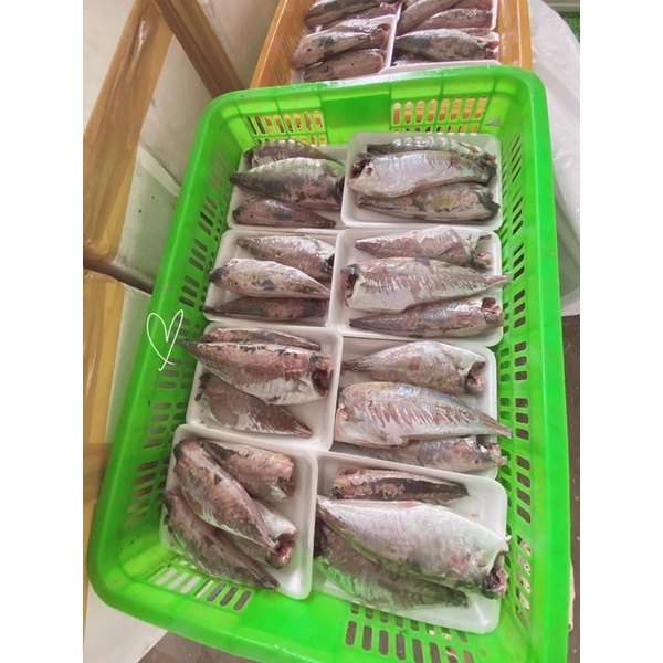 500gr cá nục 1 nắng size 14-16 con