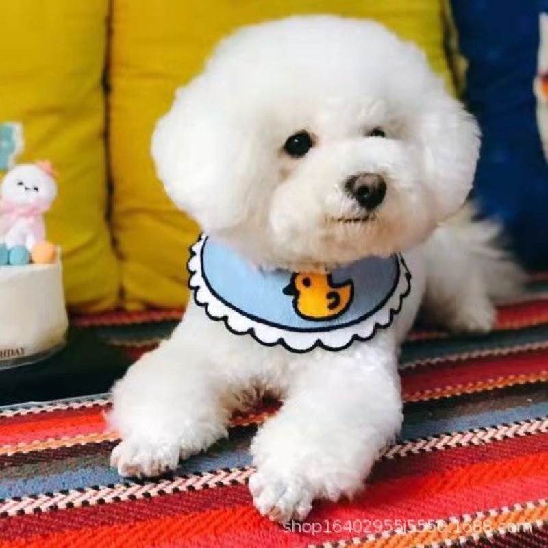 Yếm cổ cho chó mèo nhiều hình thù dễ thương