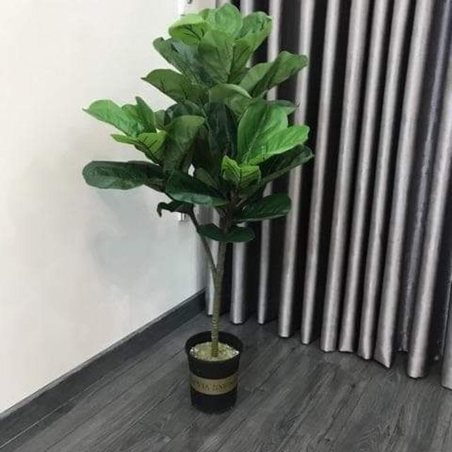 Cây bàng Singapore giả cao cấp cao 1 mét  - Không kèm chậu