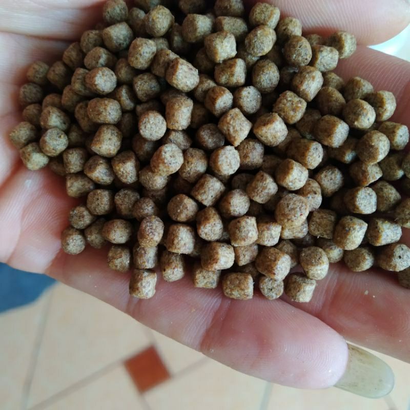 Cám cá NEW STELLA vàng thơm không còn nặng