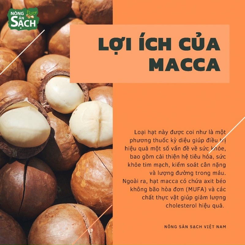 500g Hạt Macca Organic Sạch Di Linh Lâm Đồng nhà trồng size A (hạt mắc ca)