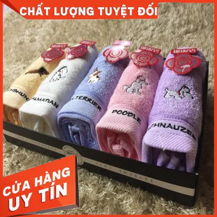 Set 5 khăn mặt hoa quả cotton