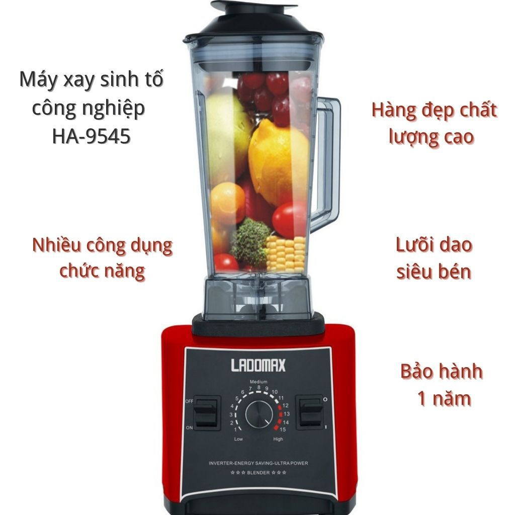 Máy xay sinh tố công nghiệp