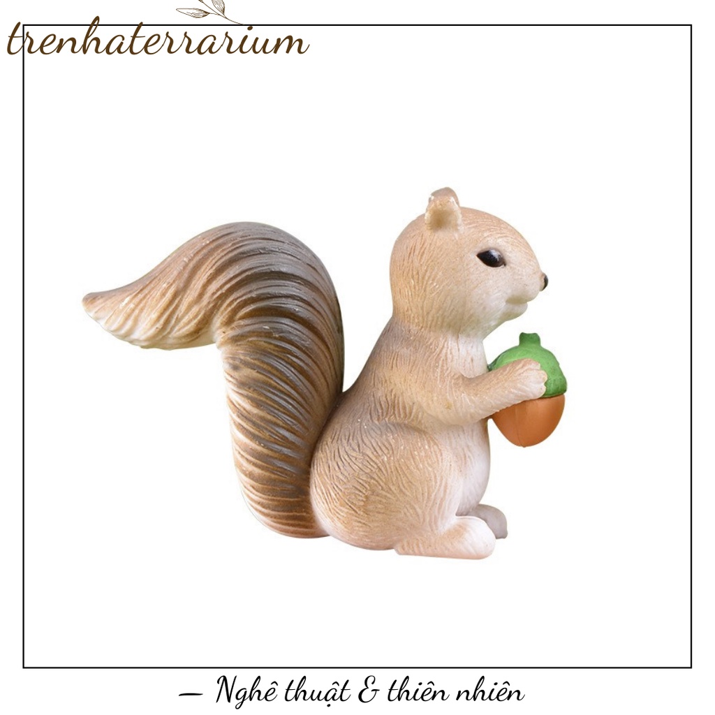 Tiểu cảnh sóc tinh nghịch terrarium cực cute trang trí sen đá