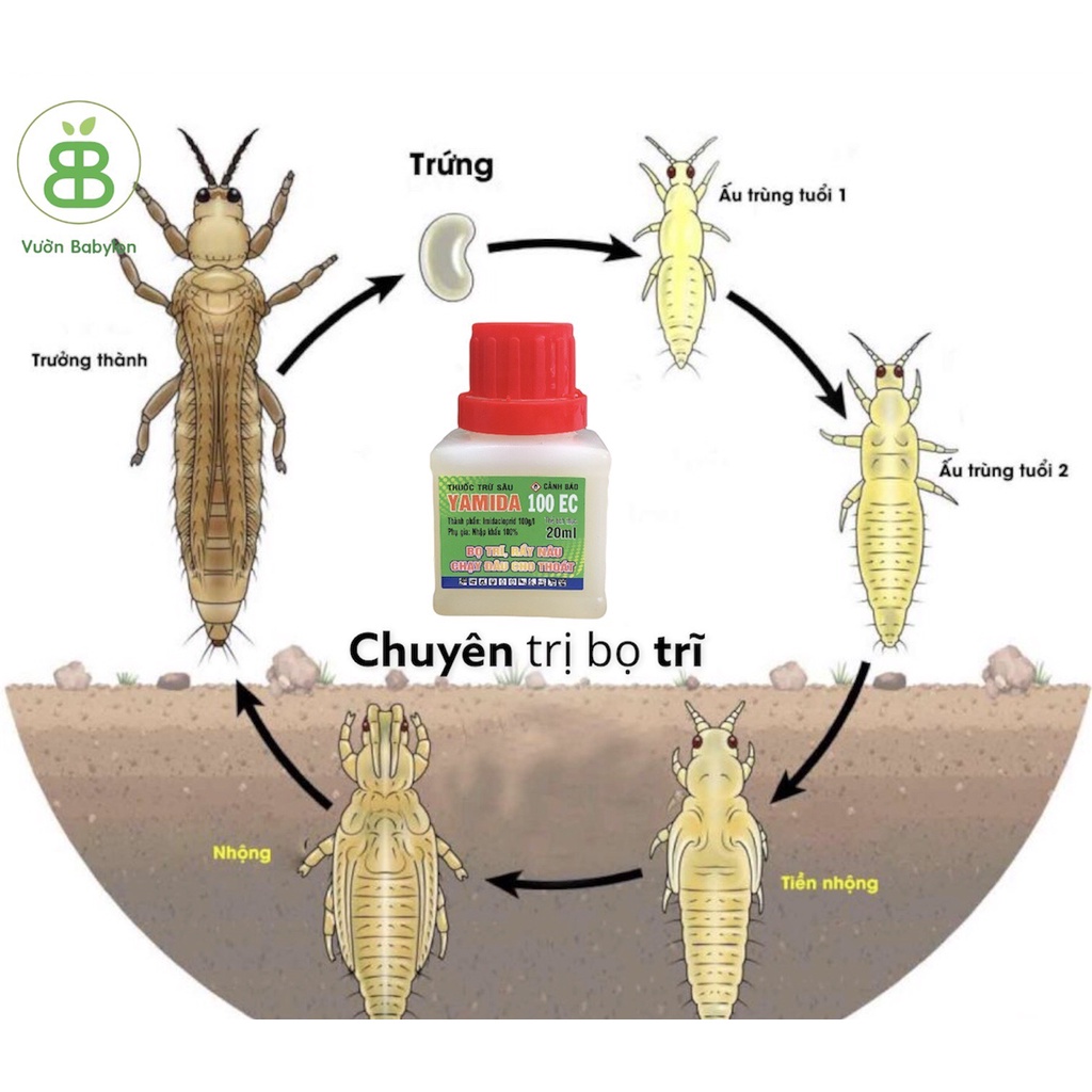 Yamida Chuyên Dùng Cho Bọ Trĩ Và Rầy Nâu