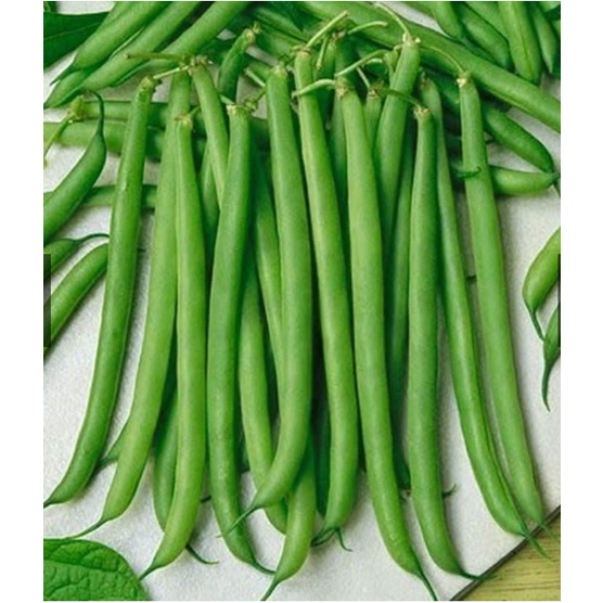 GÓI 50GR HẠT GIỐNG ĐẬU COVE TỨ QUÝ HẠT NÂU