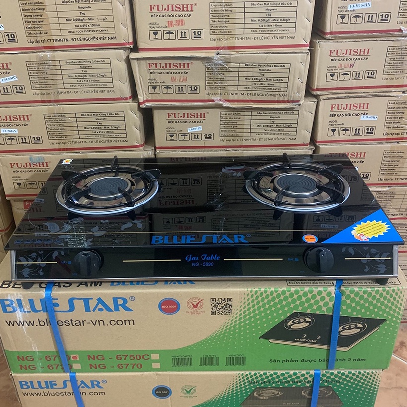 Bếp gas hồng ngoại BLUESTAR NG-5890C, điếu gang đúc nguyên khối