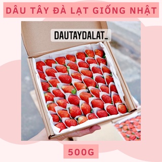 [Ship TP.HCM][Giao nhanh 2h] Dâu Tây Nhật Sky Hữu Cơ Ngọt Thơm 500g Trồng Trong Lồng Kiếng Kèm Muối Xí Muội