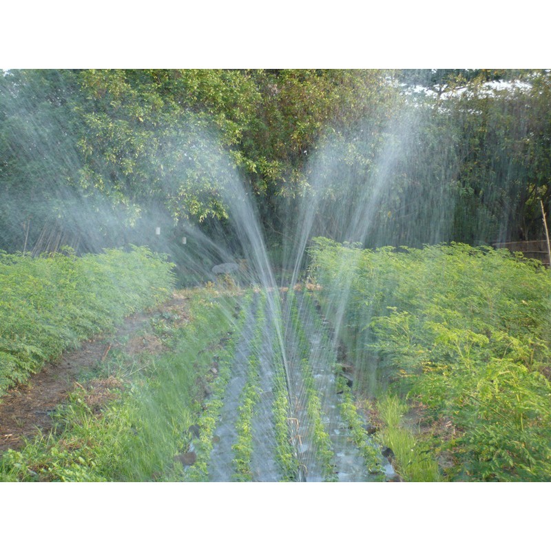 ỐNG TƯỚI PHUN MƯA PHI 27- HÀNG CAO CẤP - PM27 - CUỘN 100M