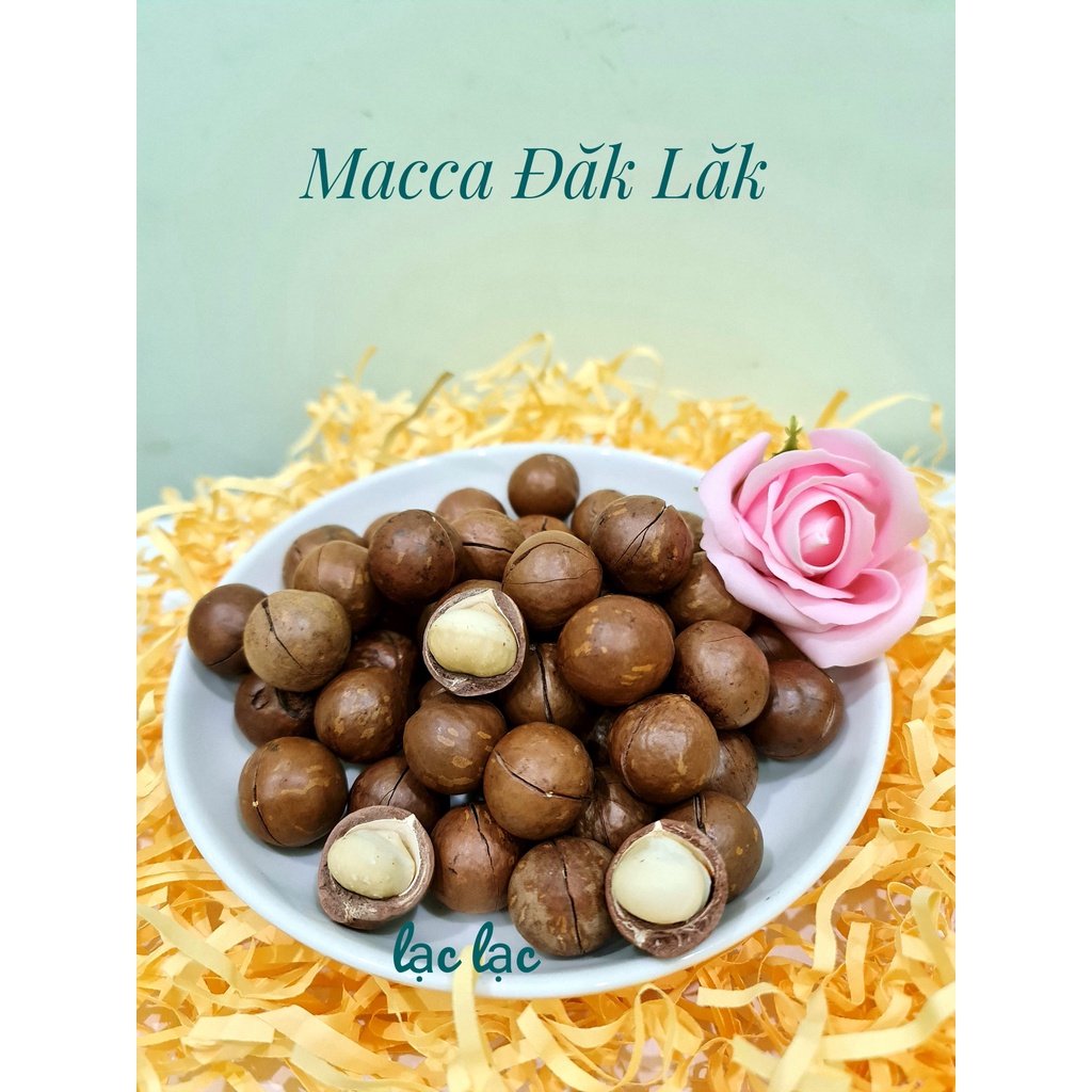 Hạt macca nứt vỏ Đăk Lăk