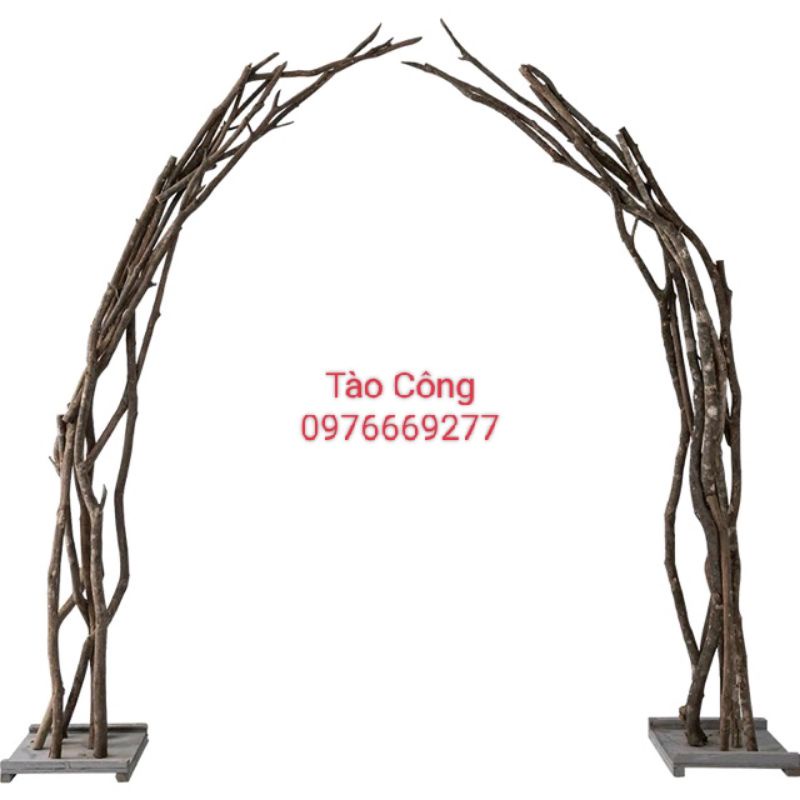 Cành cây gỗ decor trang trí nguyên vỏ (80-120cm)