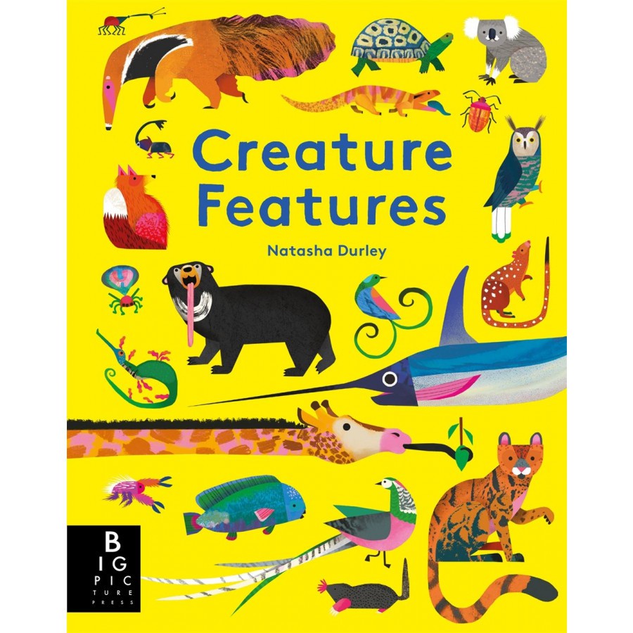 Sách: Creature Features - Sách Đặc Điểm Sinh Vật - Học Giỏi Toán