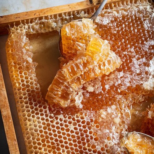 MẬT ONG NGUYÊN CHẤT Xuất Khẩu Hoa Kì 83g - Thế Hồng Honey