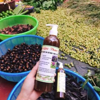 DẦU GỘI THẢO DƯỢC