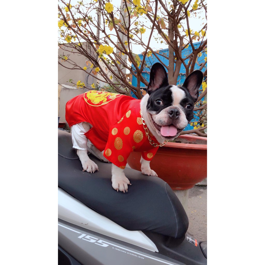 Áo dài Gấm thêu Long Phụng cho thú cưng yudog