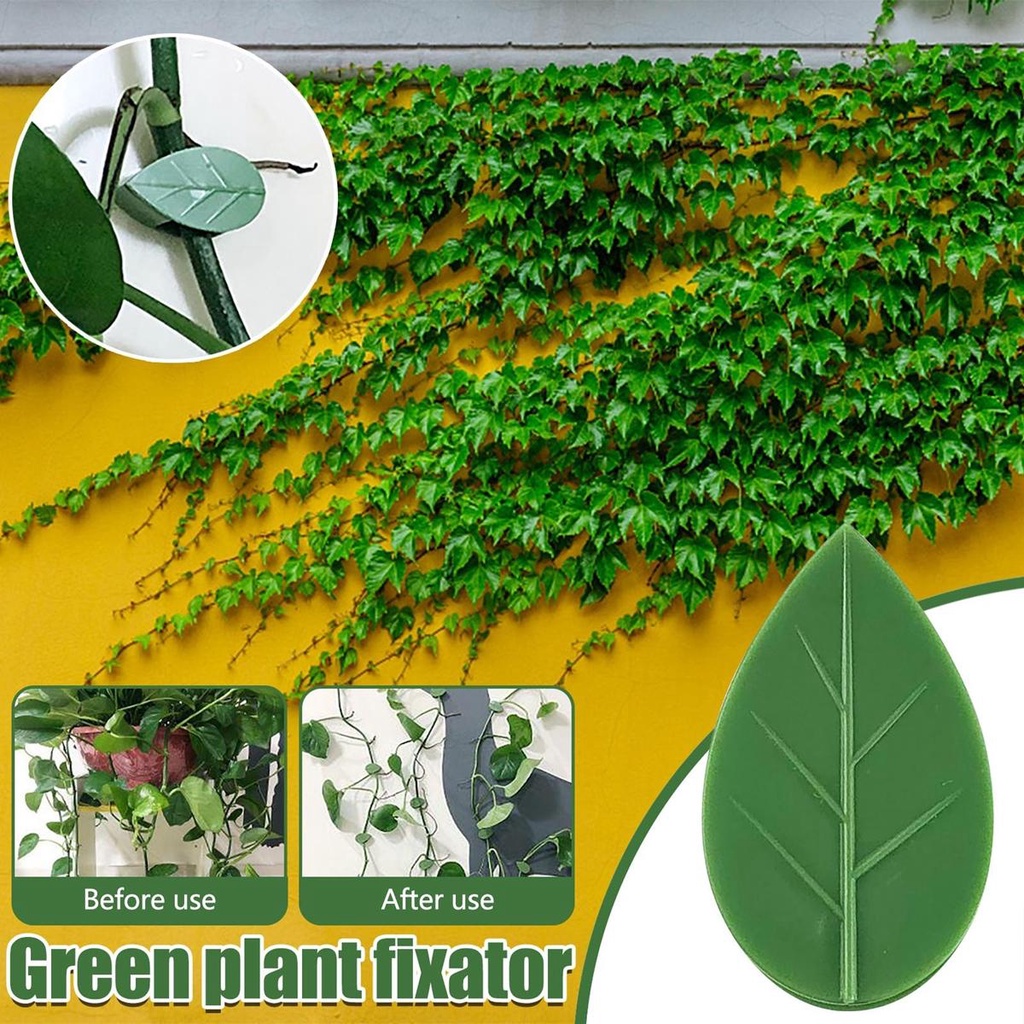 Giá Đỡ Cố Định Dây Leo Tự Dính Hình Chiếc Lá Dành Cho Cây Leo Sân Vườn