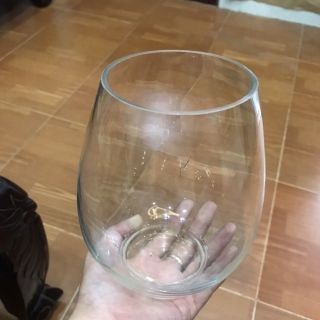 Chậu trồng cây thủy sinh