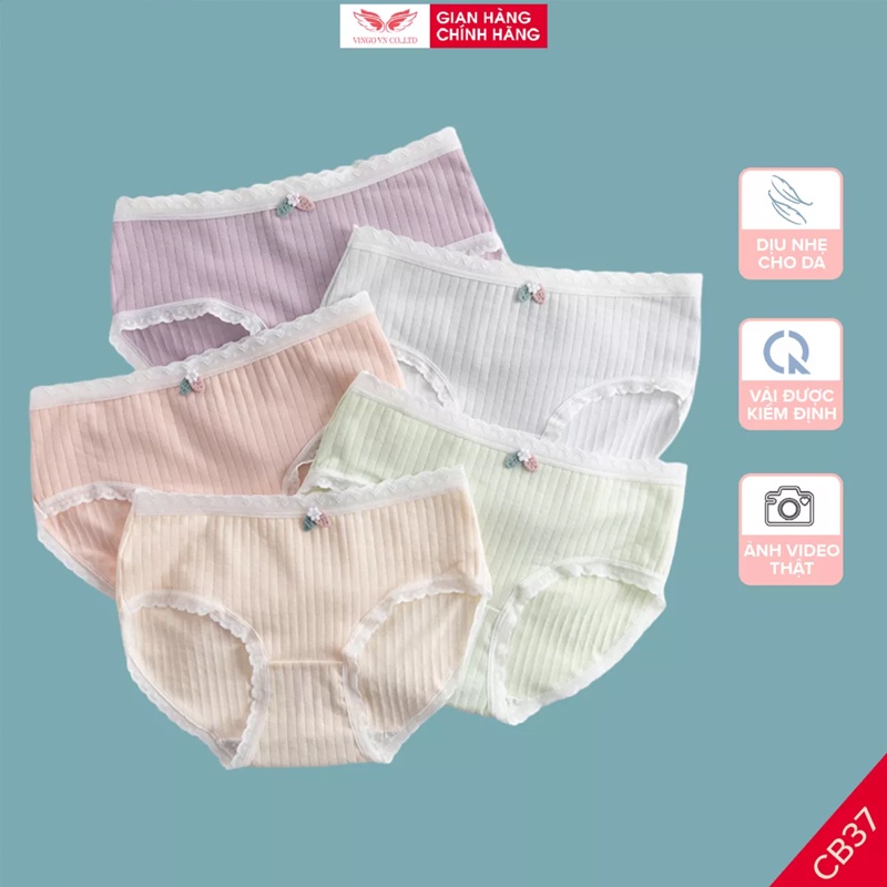Combo 5 quần lót nữ cotton sọc kháng khuẩn VINGO cạp vừa co dãn 4 chiều đáy 2 lớp thoáng khí thấm hút mồ hôi CB37 VNGO