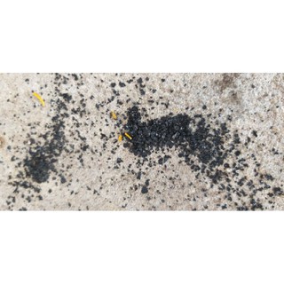 Phân bón kích rễ humic (phân hữu cơ kích rễ)