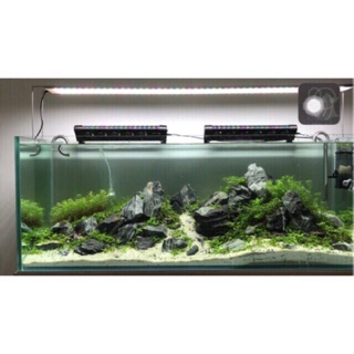 ĐÁ VÂN PHAN THIẾT | SETUP HỒ THUỶ SINH