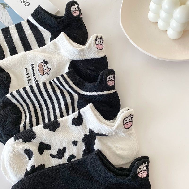 Set 5 đôi vớ con bò sữa có bán lẻ | tiemtuitotebypat